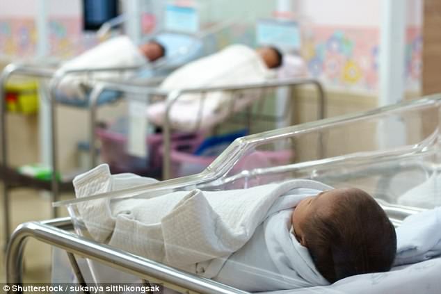 An ultra-Orthadox Jewish grandmother has given birth to her 20th child in Jerusalem - but she still has a way to go before she beats the Guinness World Record (stock image) 
